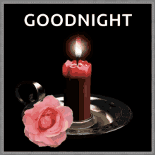 Pink Rose And Lighted Candle Good Night GIF