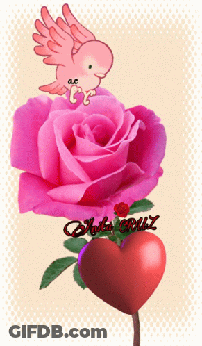 Pink Rose And Red Heart With Ana Cruz GIF