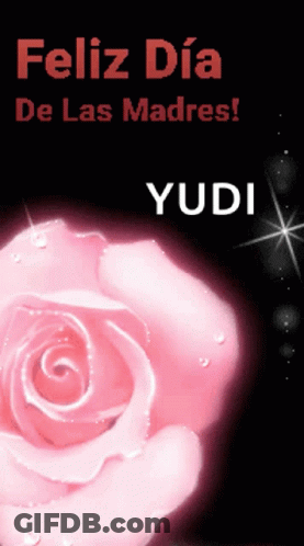 Pink Rose Feliz Dia De Las Madres GIF