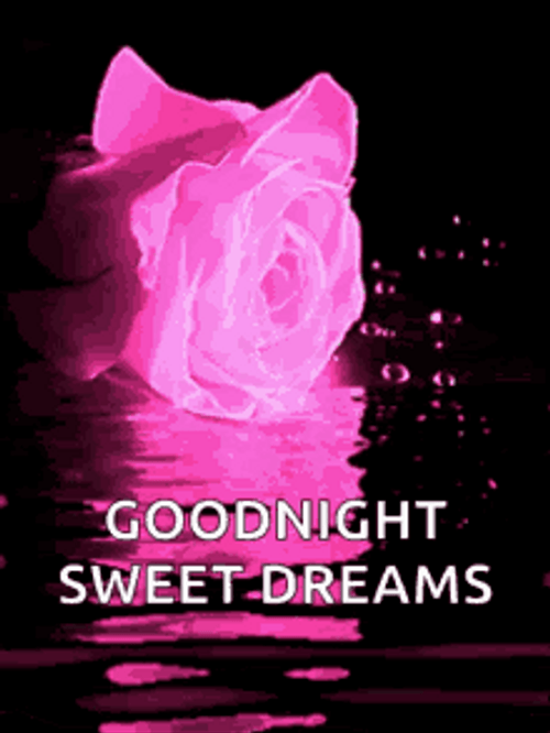 Pink Rose Good Night Sweet Dreams GIF