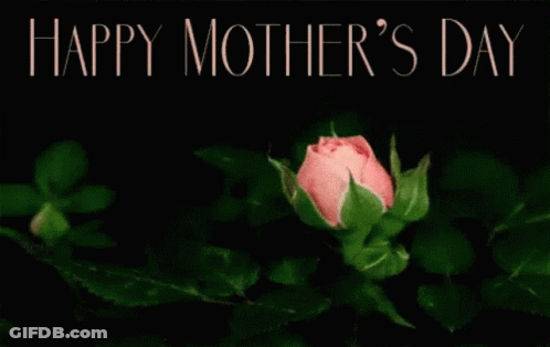 Pink Rose Happy Mothers Day GIF