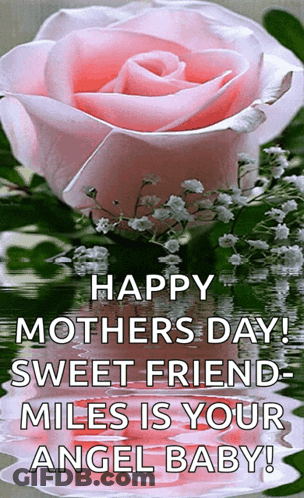 Pink Rose Happy Mothers Day GIF