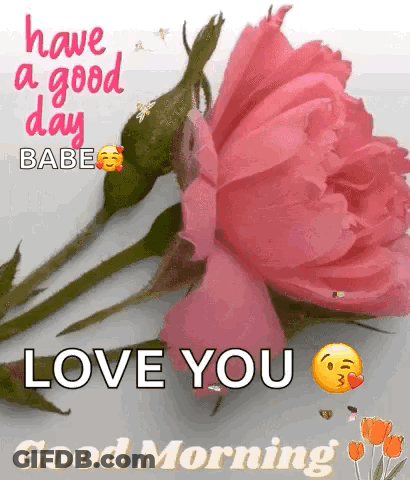 Pink Rose Have A Good Day Babe Love You Good Morning GIF