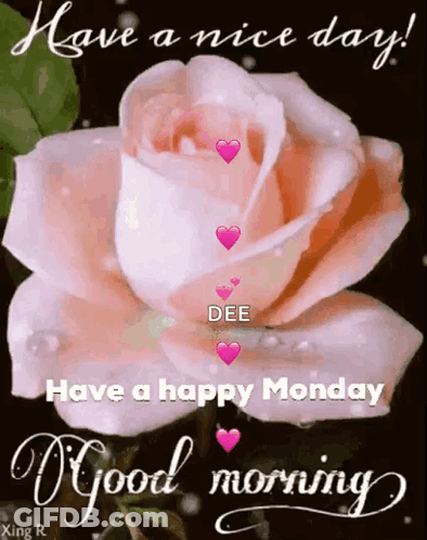 Pink Rose Have A Nice Day Have A Happy Monday Good Morning GIF