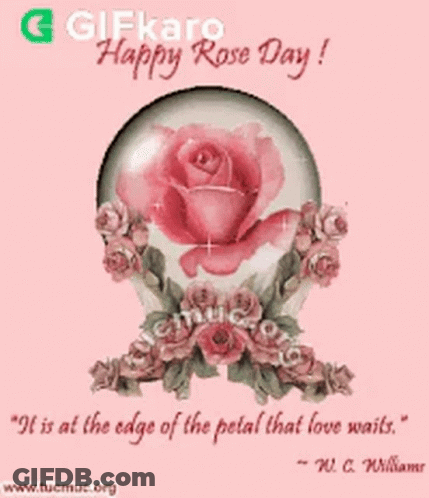 Pink Rose In Glass Ball With W. C. Williams Quote GIF