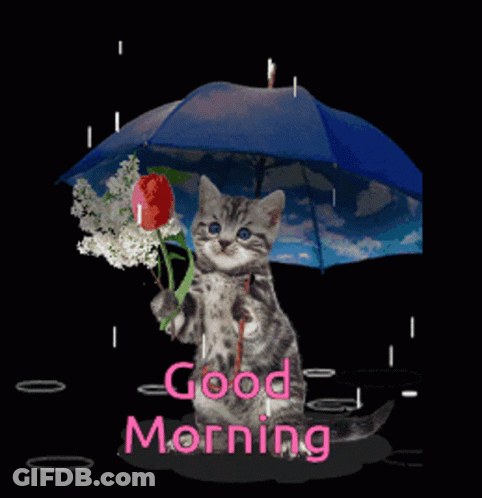 Pink Rose In Rain Good Morning GIF
