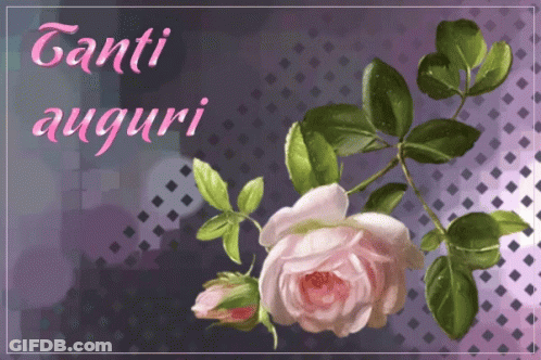 Pink Rose Purple Background Canti Auguri GIF