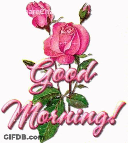 Pink Rose Saying Good Morning GIF