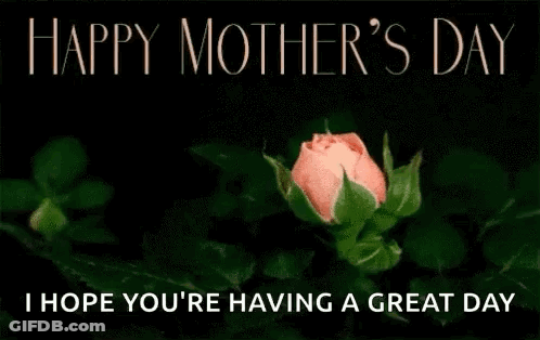 Pink Rose Saying Happy Mother's Day I Hope You're Having A Great Day GIF