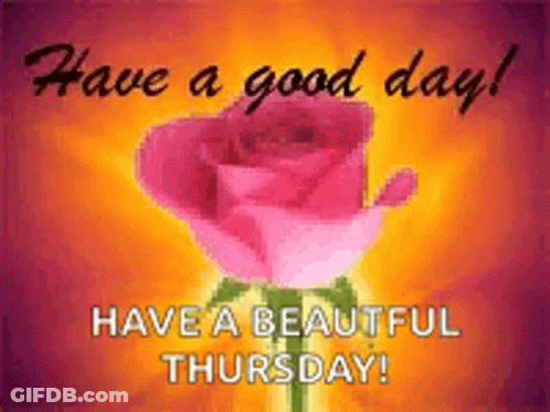 Pink Rose Saying Have A Good Day Have A Beautiful Thursday GIF