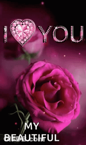 Pink Rose Saying I Love You My Beautiful GIF