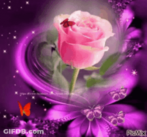 Pink Rose Surrounded By Purple Flowers And Butterflies GIF