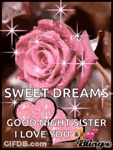 Pink Rose Sweet Dreams Good Night Sister I Love You GIF