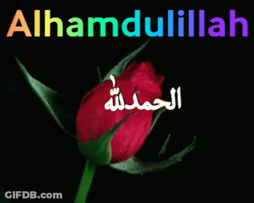 Pink Rose With Arabic Writing Alhamdulillah GIF