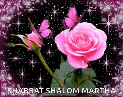 Pink Rose With Butterflies On Black Background GIF