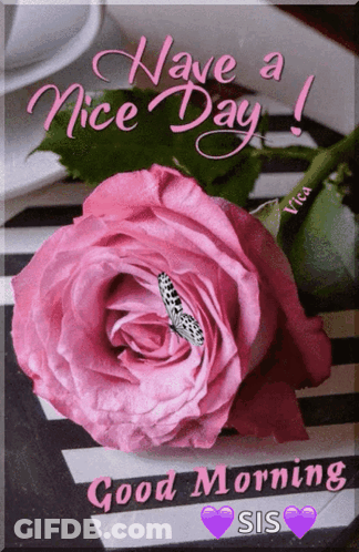 Pink Rose With Butterfly And Have A Nice Day GIF
