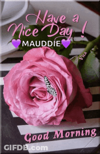 Pink Rose With Butterfly And Have A Nice Day GIF