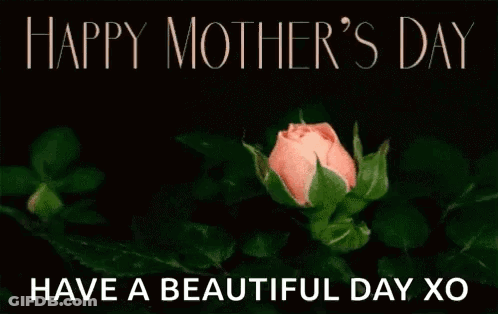 Pink Rose With Happy Mother's Day GIF