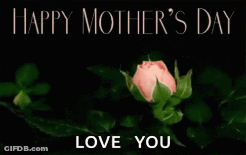 Pink Rose With Happy Mother's Day Love You GIF