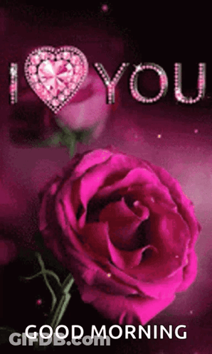 Pink Rose With Heart And I Love You GIF