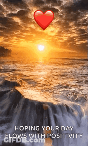 Pink Rose With I Love You GIF