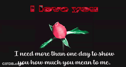 Pink Rose With I Love You GIF