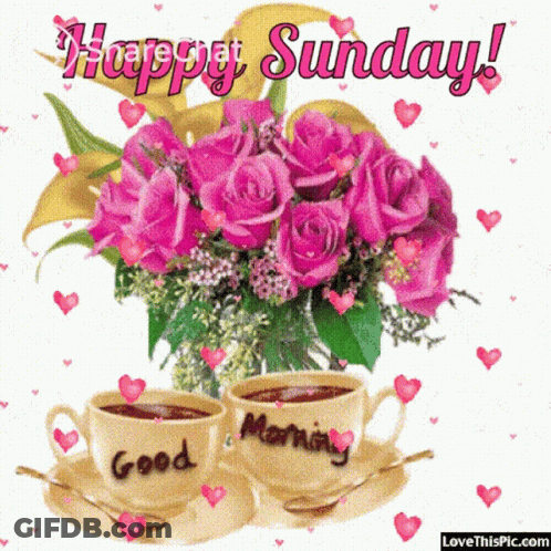Pink Roses And Coffee Cups Saying Good Morning GIF