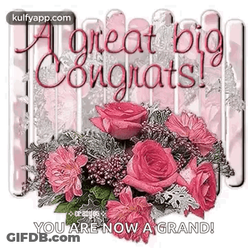 Pink Roses Bouquet Congratulations Card GIF