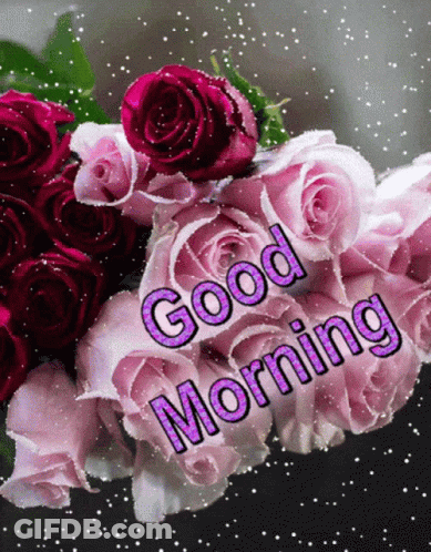 Pink Roses Bouquet Saying Good Morning GIF