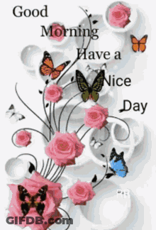 Pink Roses Butterflies Good Morning Have Nice Day GIF