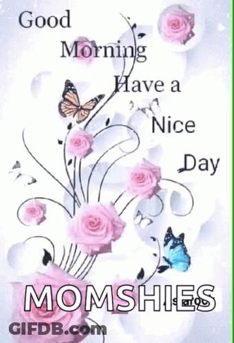 Pink Roses Butterflies Good Morning Momshies GIF