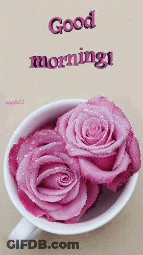 Pink Roses Cup Saying Good Morning GIF
