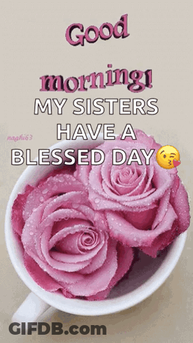 Pink Roses Cup Saying Good Morning My Sisters Have A Blessed Day GIF