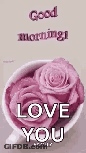 Pink Roses Cup With Good Morning Love GIF