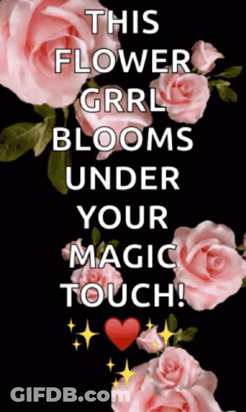 Pink Roses Flower Blooming GIF