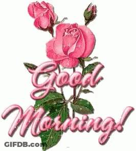 Pink Roses Good Morning GIF