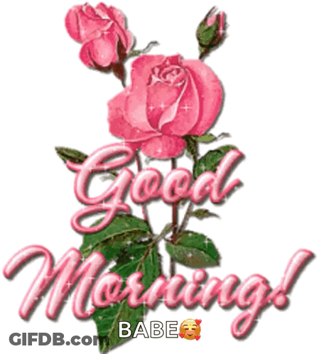 Pink Roses Good Morning Babe GIF