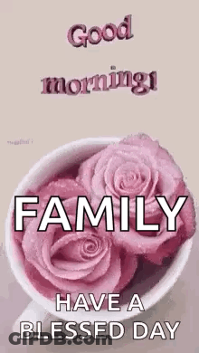 Pink Roses Good Morning Family Blessed Day GIF