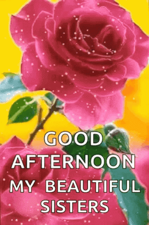 Pink Roses Good Morning My Beautiful Sister GIF