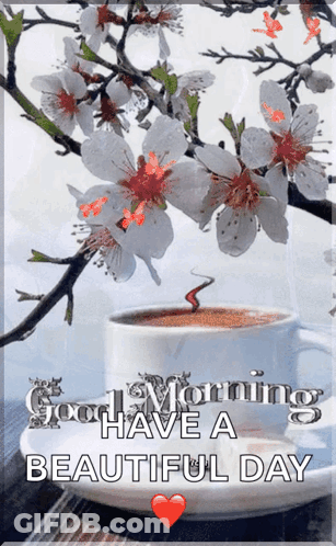 Pink Roses Have A Beautiful Day GIF
