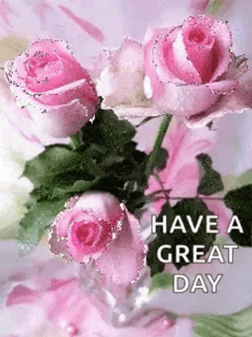 Pink Roses Have A Great Day GIF