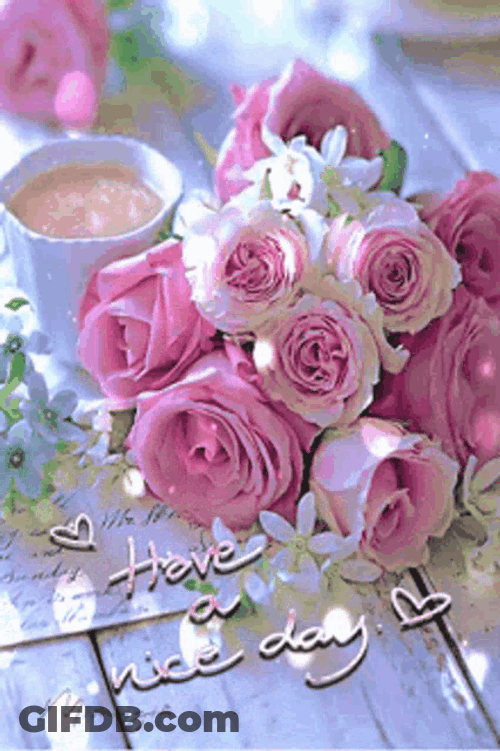 Pink Roses Have A Nice Day GIF