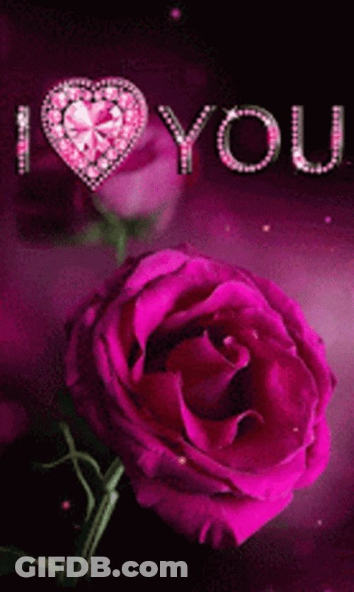 Pink Roses I Love You GIF