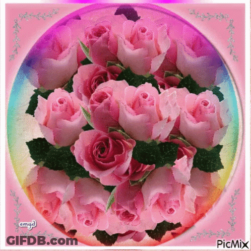 Pink Roses In A Circle With Picmix GIF