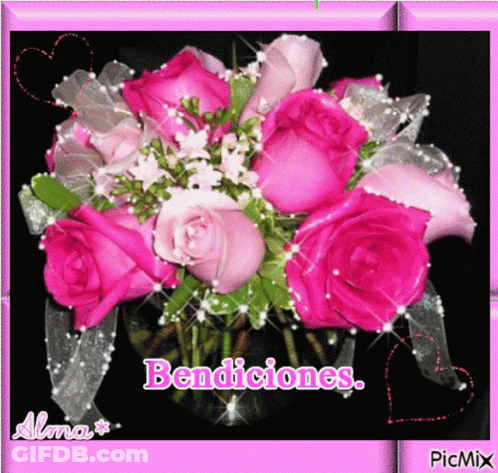 Pink Roses In Pink Frame Saying Bendiciones GIF
