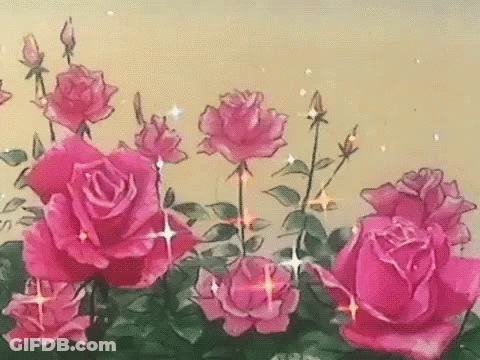 Pink Roses With Green Leaves In Garden GIF