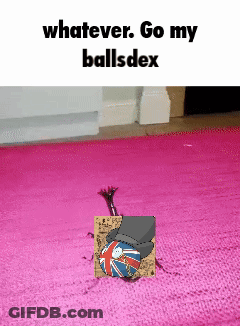 Pink Rug With British Flag GIF