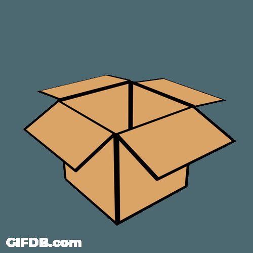 Pink Sandal Wrapping Inside Box GIF