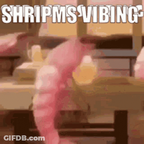 Pink Shrimp Saying Shripms Vibing GIF