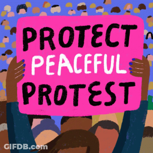 Pink Sign Saying Protect Peaceful Protest GIF